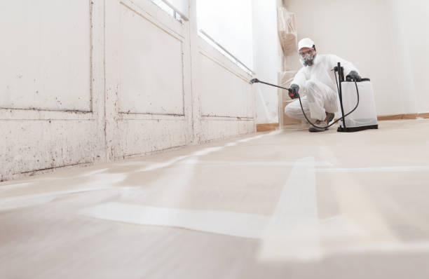 24/7 Emergency Mold Testing experts in Haslett, MI
